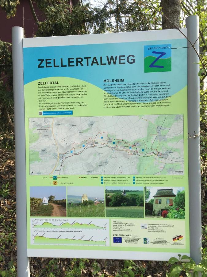 דירות Wachenheim an der Weinstraße Alte Schule Wachenheim Im Zellertal מראה חיצוני תמונה